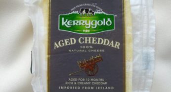 Sharp Cheddar Cheese Soup