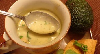 Avocado Soup Hot