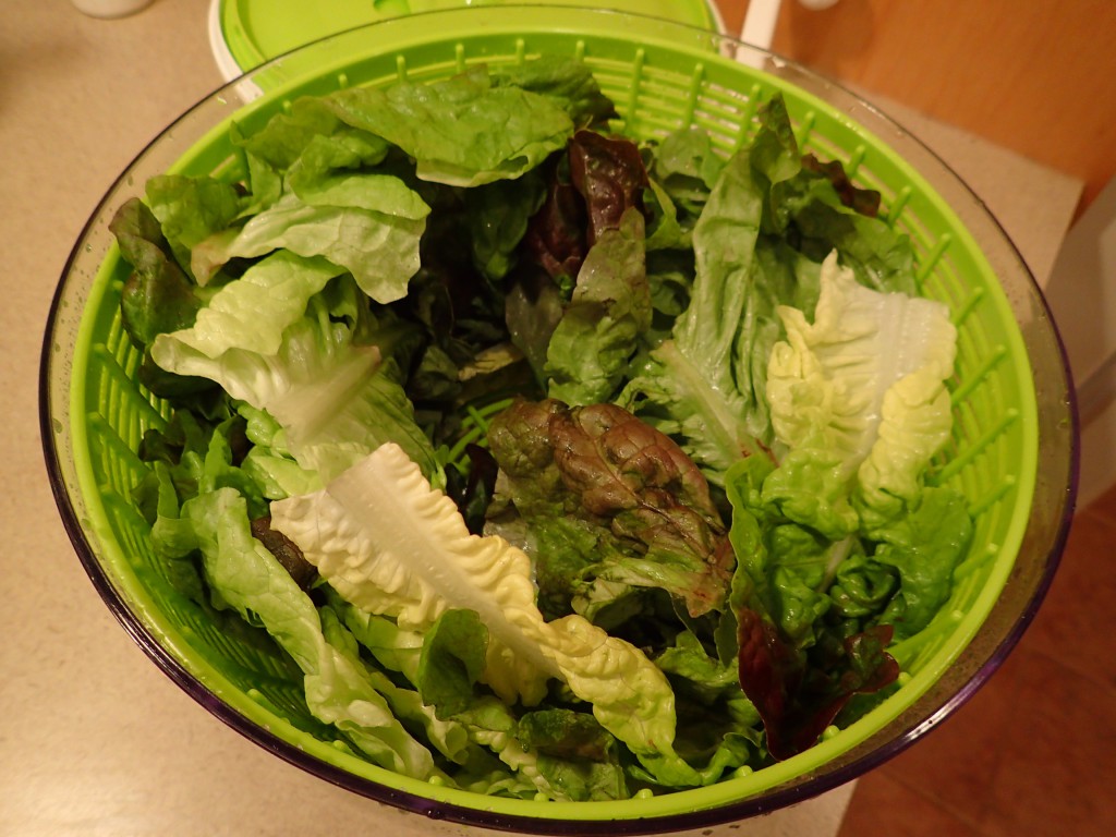 Rinse and dry lettuce